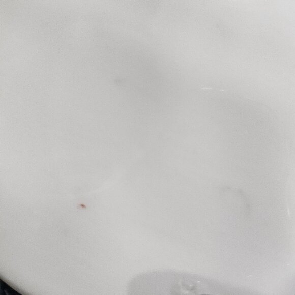 Large Vintage Decorative Turkey Platter, Thanksgiving, Holiday, Serving Platter - Picture 8 of 10